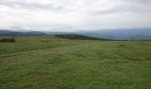 Tour Wandern Mont Lozère et Goulet - 210617 - Mont Lozère  - Photo 3