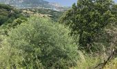 Trail Walking Aregno - Algajola  - Photo 3