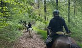 Trail Horseback riding Bastogne - Tripoux mai 2023 2 - Photo 2