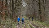 Trail Walking Marche-en-Famenne - Humain - Photo 2