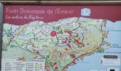 Trail Walking Saint-Raphaël - Massif d'ésterel-grande boucle pic cap roux - Photo 15