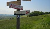 Randonnée Marche Saint-André-la-Côte - Le signal - Photo 2