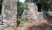 Trail Walking Monticello - boucle d'arbo - Photo 9