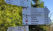 Trail On foot Bad Rippoldsau-Schapbach - Wolftalweg - Photo 9