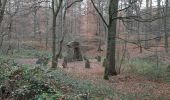 Tour Wandern Sint-Genesius-Rode - Forêt Espinette centrale 8.4 km - Photo 2