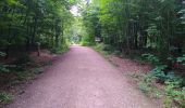 Tour Zu Fuß Mittelangeln - Gr. Rundweg, Rehbergholz - Photo 6