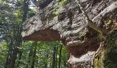 Randonnée Marche Sainte-Marie-aux-Mines - Col du Haut de Ribeauvillé - Rochers des Géants (Rother n°31) - Photo 13