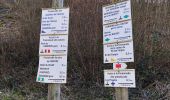 Trail Walking Houyet - Promenade vers les Aiguilles De Chaleux  - Photo 1