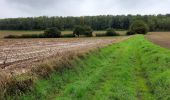 Randonnée Marche Tinlot - Ramelot 7 km - Photo 3