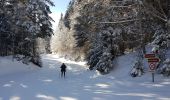 Trail Cross-country skiing Mijoux - noire - Photo 8