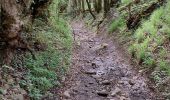 Trail Walking Châtel-Guyon - VALLEE DE SANS SOUCI - CHATEAU DE CHAZERON - Photo 15