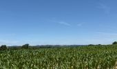 Tour  Attert - Balisage GR15 - Photo 4
