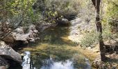 Excursión Senderismo Auriol - le ravin des Encanaux - Photo 1