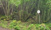Trail Walking Gedinne - Vencimont 050624 - Photo 20