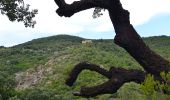 Excursión Senderismo Roquebrune-sur-Argens - Roquebrune sur Argent - Château de La Mère - Le Fournel - Photo 2