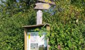 Percorso A piedi Berkatal - Rundweg Großer Marstein und Hielöcher - Photo 6