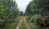 Trail Walking Esneux - arboretum . pisserotte . anc carrière . targnon . villers aux tours . chapelle simon . arboretum - Photo 13