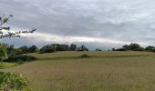 Trail Walking Aywaille - Le tour de septroux - Photo 12