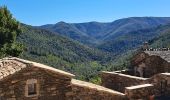 Tour Wandern Saint-Mélany - Le chemin des Lauzes - Photo 4