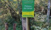 Trail Walking Quié - le dolmen de la plagne - Photo 9
