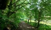 Trail Walking Chaudfontaine - La balade du charbon   - Photo 14