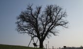 Trail On foot Bad Loipersdorf - Laufstrecke Panorama Runde (schwarz) - Photo 2