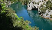 Excursión Senderismo Quinson - Quinson - Basses Gorges - Chapelle Ste Maxime - Baume des Pierres - Photo 11