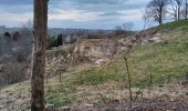 Trail Walking Maastricht - CANI-RANDO TOUR (boucle, montage saint pierre partie Hollande) - Photo 7