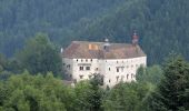 Tocht Te voet Birkfeld - Wanderweg 64 - Photo 9