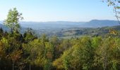 Trail Horseback riding Taintrux - 2018-10-10 Rando CVA Vosges Prof Taintrux Ban De Laveline - Photo 1