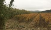 Randonnée Marche Bages - Prat-de-Cest - Abbaye de Fontfroide - Photo 4