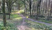 Randonnée Marche Loon op Zand - Loonse Park Roestelberg 22,8 km - Photo 4