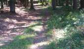 Percorso Equitazione Stoumont - Neufmoulin-Derrière les Thiers-Neumoulin - Photo 2