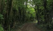 Percorso A piedi Tandridge - Over the Downs to Oxted Mill walk (SCC) - Photo 4