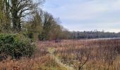 Tour Wandern Yerres - De Yerres à Varennes Jarcy par les sentes 30 km - Photo 6