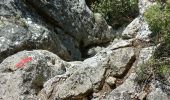Trail Walking La Roquebrussanne - la roquebrussanne - Photo 17