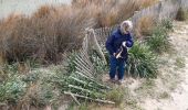 Excursión Senderismo Hyères - tour des Pesquier  - Photo 4