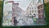 Tour Wandern Türkheim - autour de Turckheim - Photo 2
