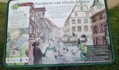 Randonnée Marche Turckheim - autour de Turckheim - Photo 2