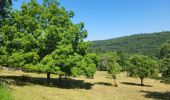 Trail Walking Assesse - Sart Bernard 010725 - Photo 16
