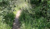 Trail Walking Biure - biure - Photo 3