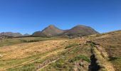 Tour Wandern Les Angles - 20220714 bollosa - refuge Camporells-lac d’Aude - Photo 10