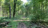 Trail Walking Fleury - en Forêt de Retz_92_05_2022_Rond d'Orléans_Chapeau des Cordeliers_la Laie des étangs de Longpont - Photo 17