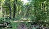 Randonnée Marche Fleury - en Forêt de Retz_92_05_2022_Rond d'Orléans_Chapeau des Cordeliers_la Laie des étangs de Longpont - Photo 17