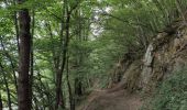 Trail Walking Rendeux - Boucle Marcourt, Beffe - Photo 9