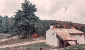 Trail Walking Aurel - Couleurs d'automne au Ventouret - Photo 4