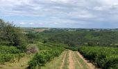 Excursión Senderismo Hasparren - Haitzader boucle courte - Photo 2