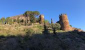 Tour Wandern Castelnou - 20210328 Castelnou-Camelas- boucl - Photo 10