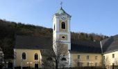 Tour Zu Fuß Forchtenstein - Forchtenstein - Kirchensteig - Rosalia - Photo 8