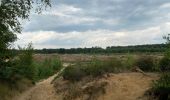 Excursión Senderismo Maaseik - Gruitroderbos -  dunes - Photo 14